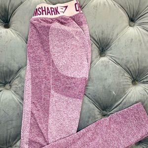 gym shark pants